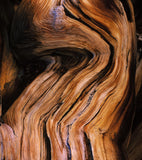 Onno Haute Parfumerie Bois d'Ambre - 100ml